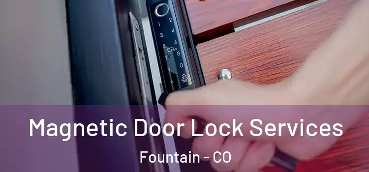 Magnetic Door Lock Services Fountain - CO