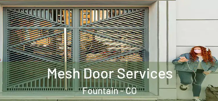 Mesh Door Services Fountain - CO